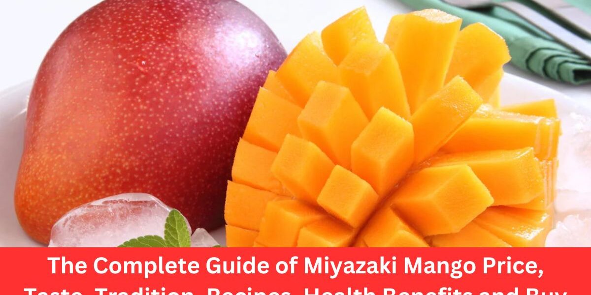 The Complete Guide of Miyazaki Mango Price, Taste, Tradition, Recipes, Health Benefits and Buy